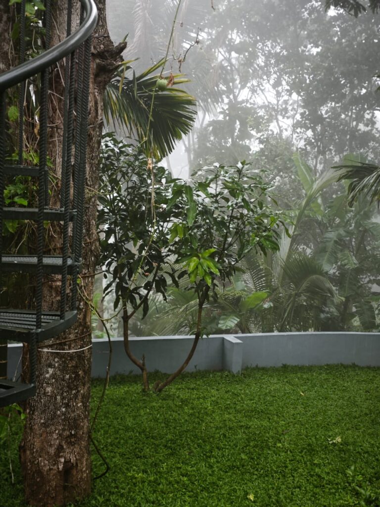 WhatsApp Image 2025-08-04 at 19.41.42_f8a7d516