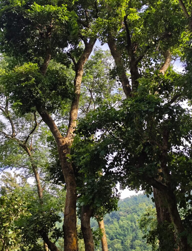 WhatsApp Image 2025-08-04 at 20.26.42_2a13218a