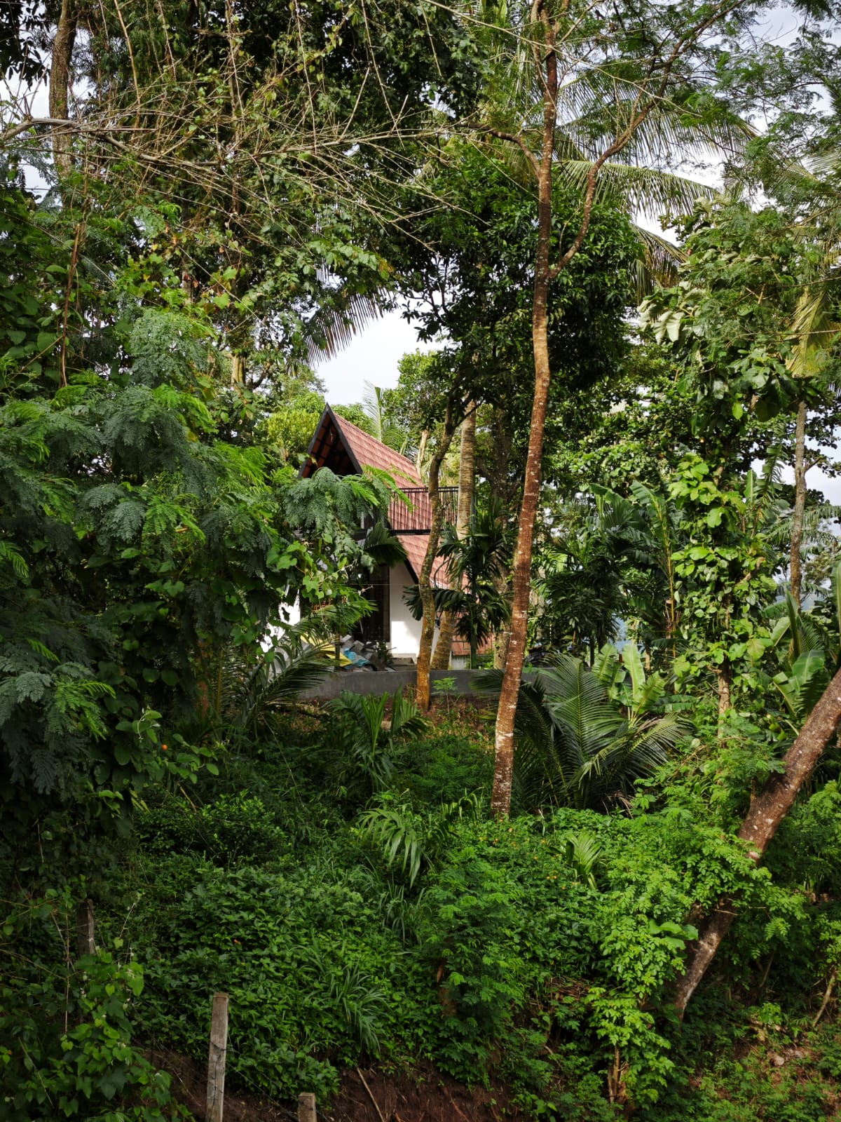 WhatsApp Image 2025-08-04 at 20.26.43_686271c2